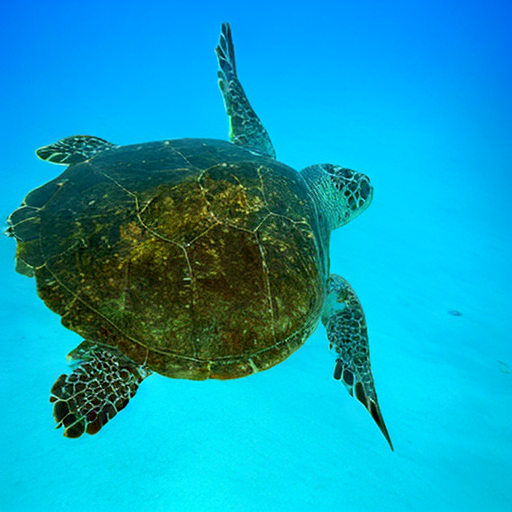 ../_images/0b5f5b43676affadf0e5c746266c9c41276a68e3e37e16463ff0ce5c4321ef25.png