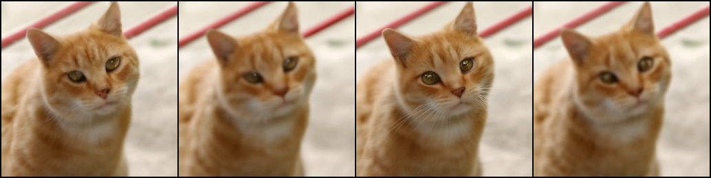 ../_images/097d90690b054deb9388bd5fe3f704589a0c31385f87a3d83ccaecf3cc987cbf.png